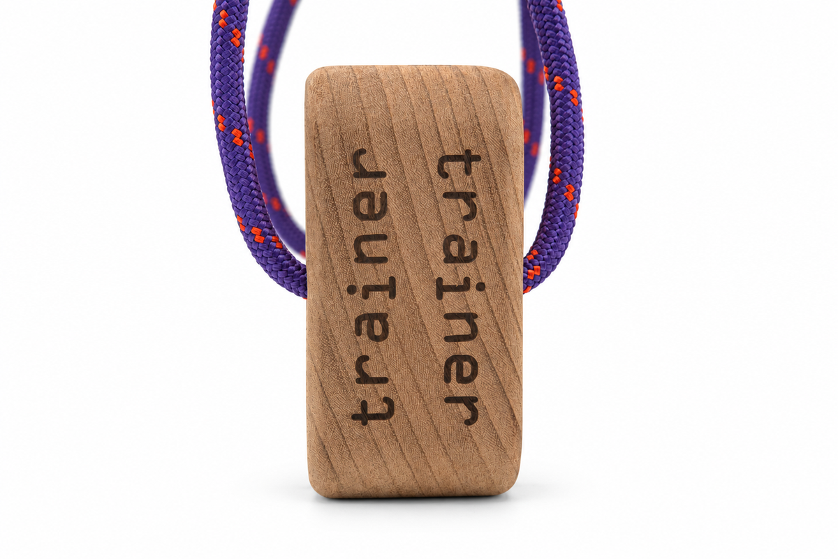 The Trainer - Climbing Hangboard